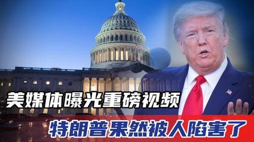 特朗普今日爆料视频全集,今日爆料视频全集深度解析
