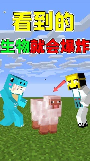 趣味生活爆料怎么做的视频,轻松制作短视频的实用指南 第1张 趣味生活爆料怎么做的视频,轻松制作短视频的实用指南 第1张